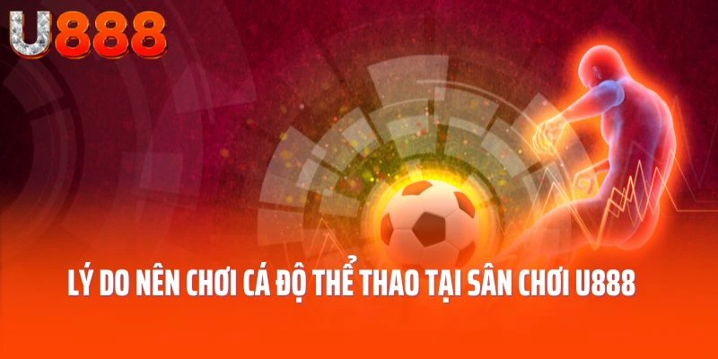 Lý do nên chơi cá độ thể thao tại sân chơi U888