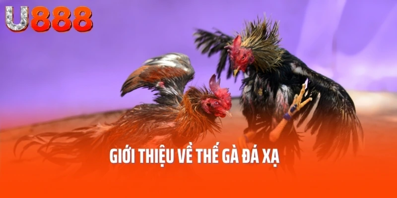 Giới thiệu về thế gà đá xạ